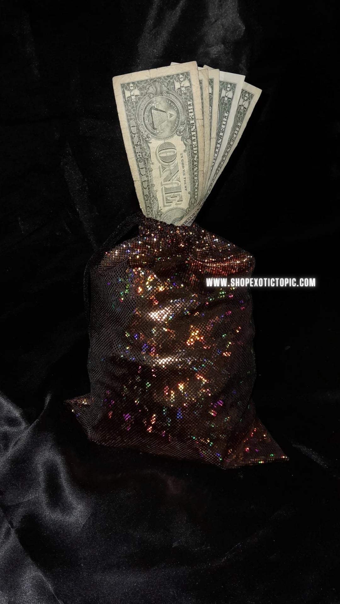 GOLD HOLOGRAPHIC MONEY BAG